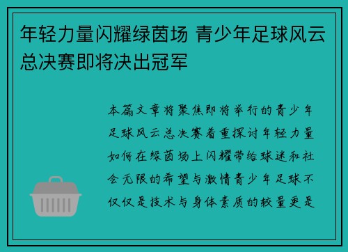 年轻力量闪耀绿茵场 青少年足球风云总决赛即将决出冠军 年轻力量闪耀绿茵场 青少年足球风云总决赛即将决出冠军