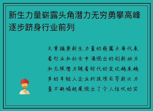 新生力量崭露头角潜力无穷勇攀高峰逐步跻身行业前列 新生力量崭露头角潜力无穷勇攀高峰逐步跻身行业前列