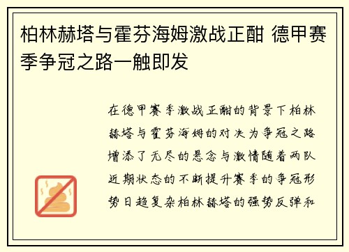 柏林赫塔与霍芬海姆激战正酣 德甲赛季争冠之路一触即发 柏林赫塔与霍芬海姆激战正酣 德甲赛季争冠之路一触即发